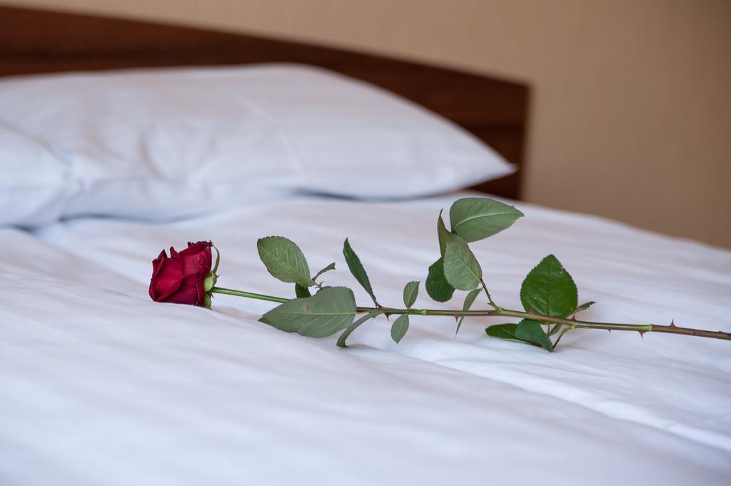 Hotel Hetmanski Рава Мазовецка Екстериор снимка
